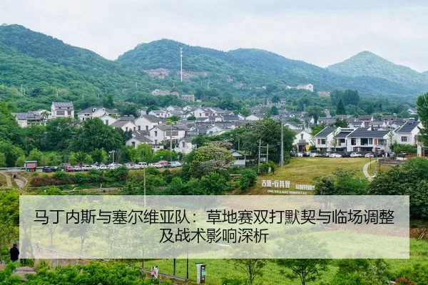马丁内斯与塞尔维亚队：草地赛双打默契与临场调整及战术影响深析