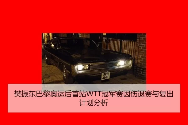 樊振东巴黎奥运后首站WTT冠军赛因伤退赛与复出计划分析