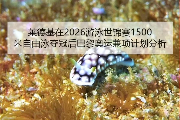 莱德基在2026游泳世锦赛1500米自由泳夺冠后巴黎奥运兼项计划分析