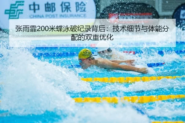 zhang-yu-fei-mi-die-yong-po-ji-lu-bei-hou-ji-shu-xi-jie-yu-ti-neng-fen-pei-de-shuang-chong-you-hua-3-286.jpg